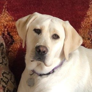 Meet your Posher, Fiona